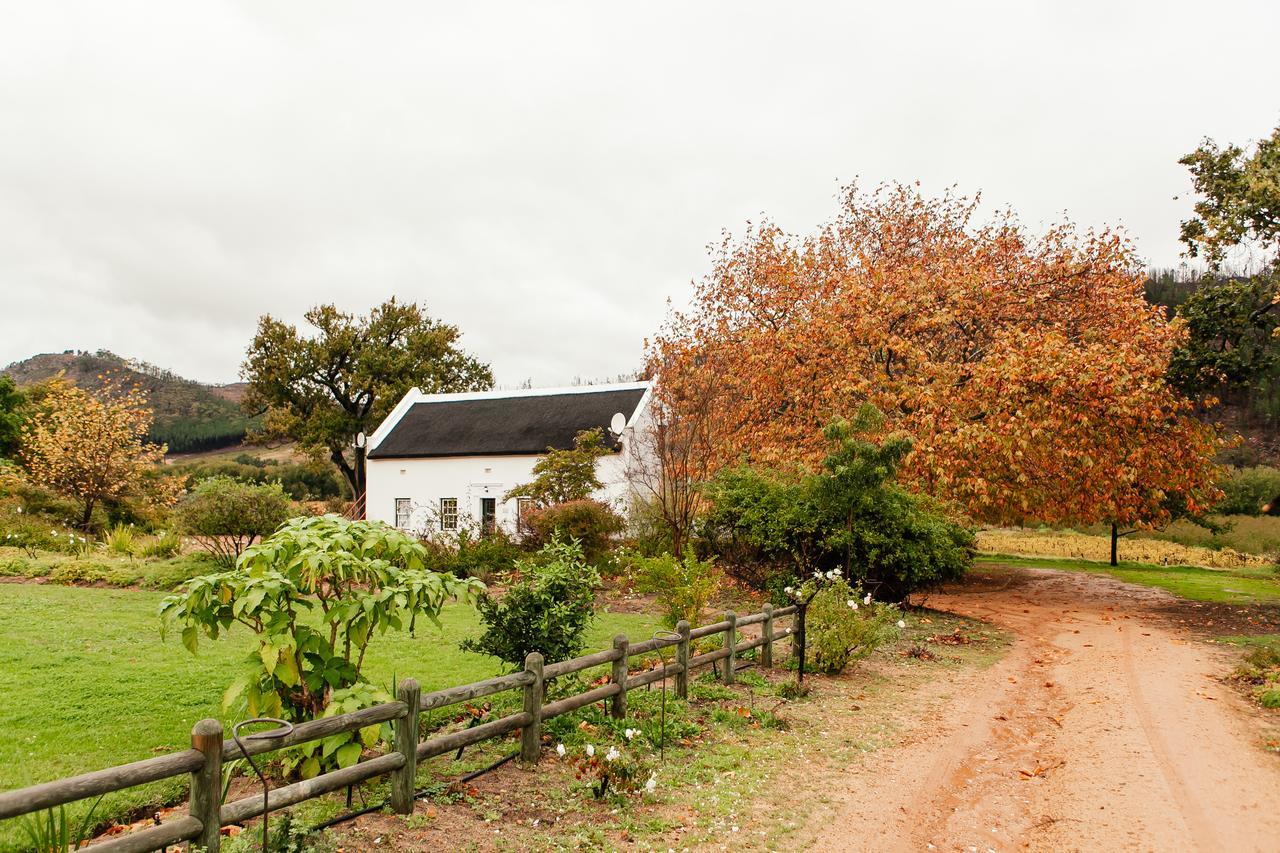 Basse Provence Country House Bed and Breakfast Franschhoek Eksteriør billede