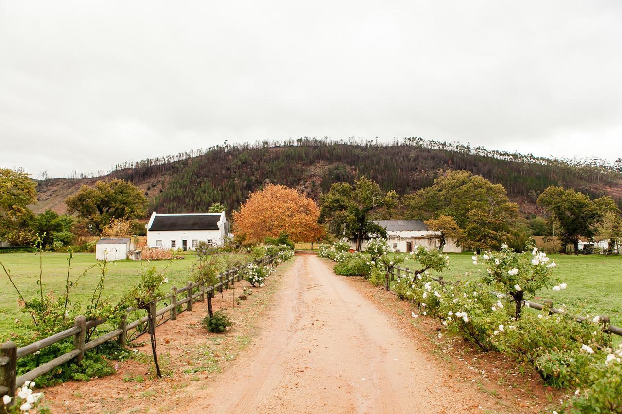 Basse Provence Country House Bed and Breakfast Franschhoek Eksteriør billede